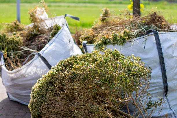 Best Attic Cleanout Services  in Bethlehem, WV